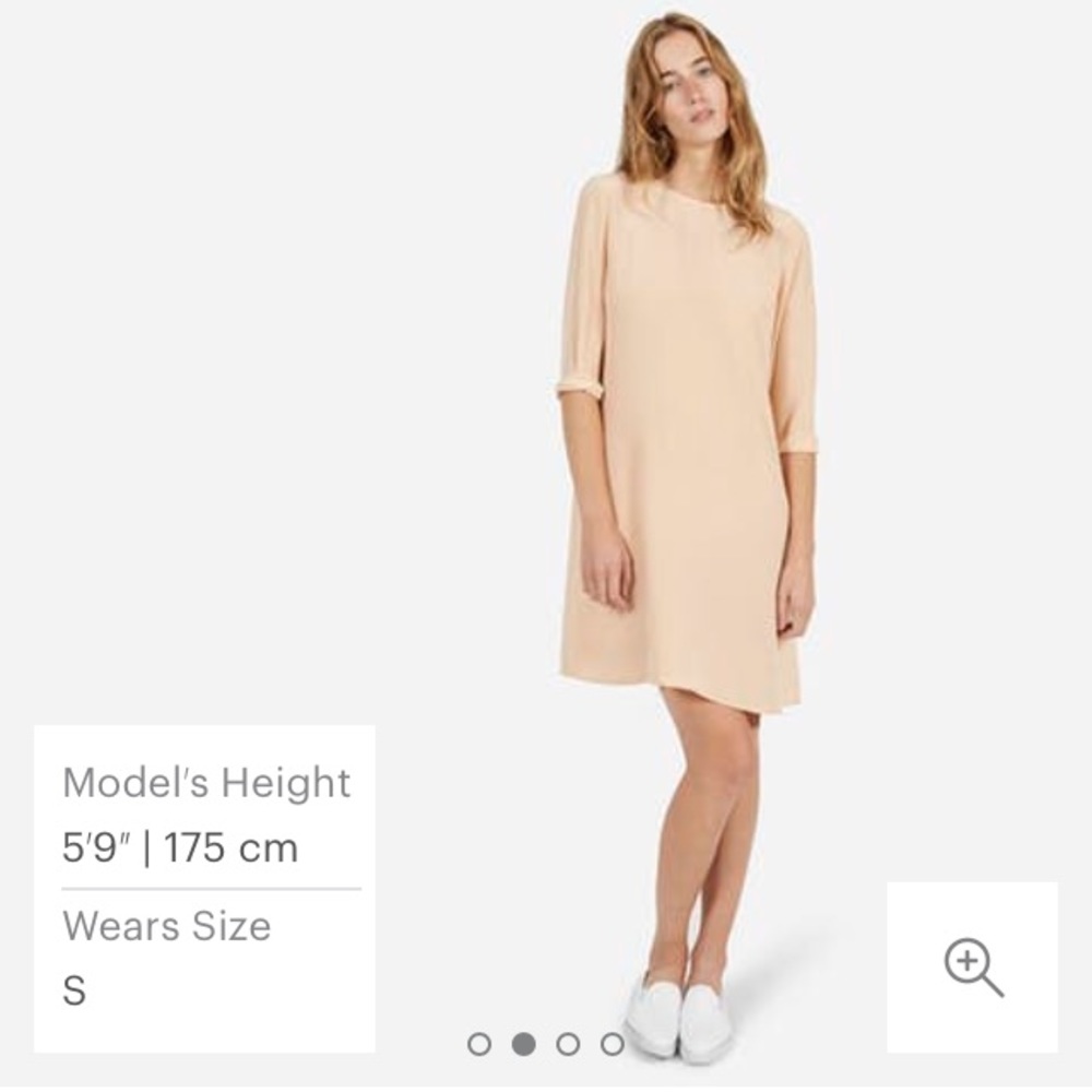 Everlane Silk Long-Sleeve Dress in Blush